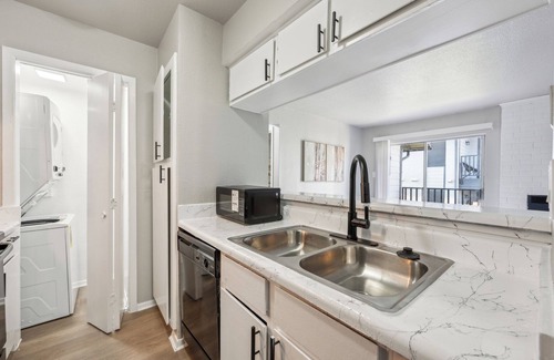 Grand Prairie Apartment | The Chandler 421 I Spacious 1 Bed 1 Bath