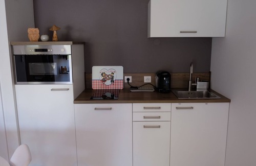 Plobsheim House | The charm of wood on the river side