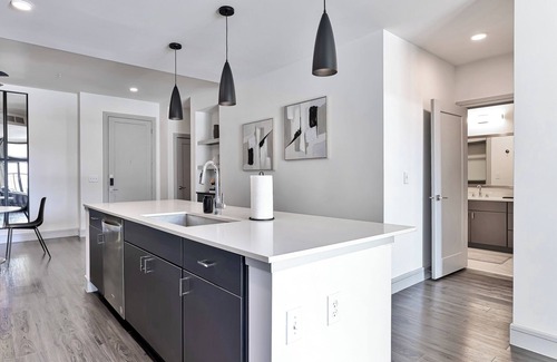 Texas Medical Center Apartment | The Chelsey: Haven w Gym&Pool
