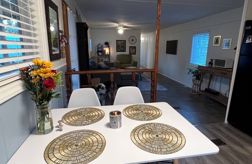 Fayetteville House | The Chestnut-mid century modern home on the NRG NP