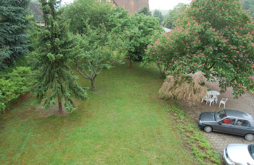Epfig Cottage | The Chestnut tree. Traditional Alsace house. View of the vineyard and St Odile