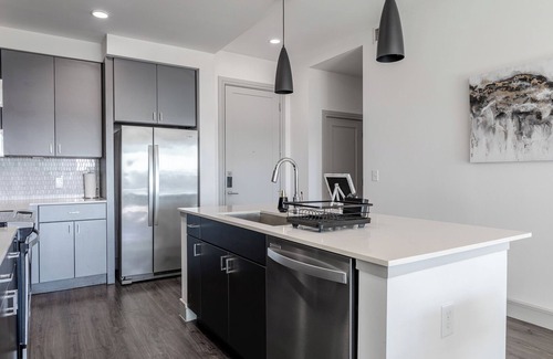 Texas Medical Center Apartment | The Chloe: Retreat With Work Space and Gym+ Pool + Parking