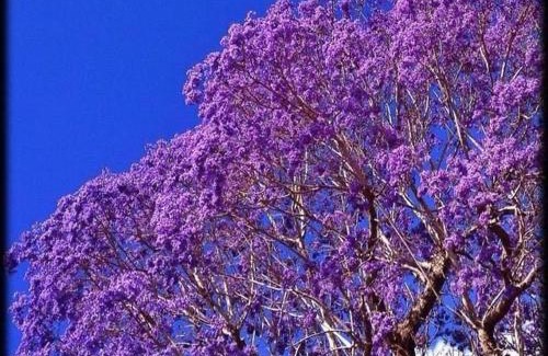 Yungaburra Bed & Breakfast | The Church