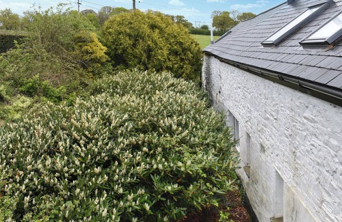 Sprytown Cottage | The Coach House - UK49601
