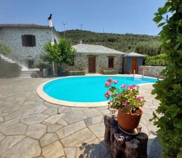 Koropi Villa | The Cocoon and olives Hut