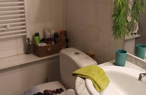 Sausheim Apartment | The cocoon of Sausheim and its massage table