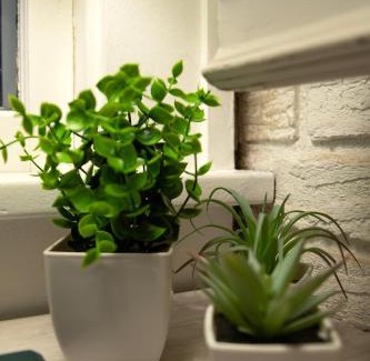 Hastings House | The Comfy Cottage