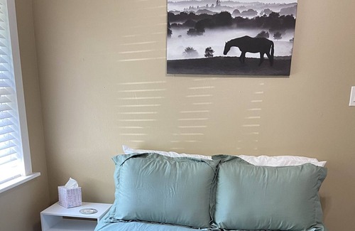 San Angelo Cottage | The Concho Cottage - 8 mins to Downtown & pet friendly!