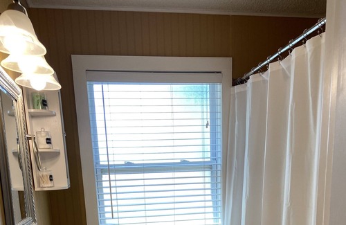 San Angelo Cottage | The Concho Cottage - 8 mins to Downtown & pet friendly!
