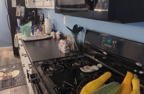 Mount Vernon Apartment | The Coop- Cozy 1-bedroom apartment in peaceful Mount Vernon with AC