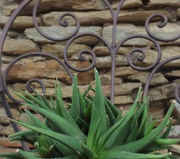 Barrydale Villa | The Cottage 39 Steyn