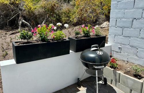 Yzerfontein Apartment | The Cottage at Paradise Found