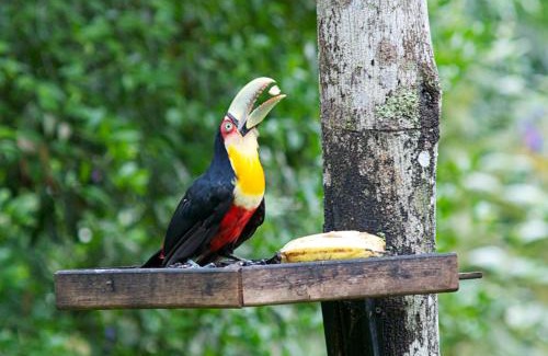 Paraty House | The Cottage at Sitio Namaste