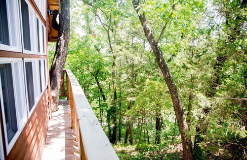 Hermann Bed & Breakfast | The Cottage Treehouses