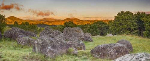 Ruatangata West House | The Cottage Wai Rua