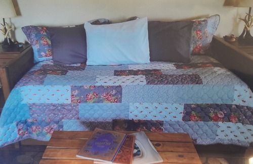 Davis Cottage | The Country Cottage with studio style layout and WiFi, AC in peaceful Davis