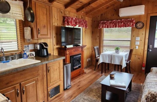Julian Cabin | The Couple's Cabin in Wynola - 13 Acres of Nature - Hot Tub - Fire Pit - Gated