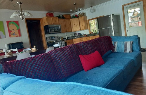 Seguin Cottage | The Cozy Cougar - Lakefront -AC-Arcade - GODZILLA Pinball - Bunkie
