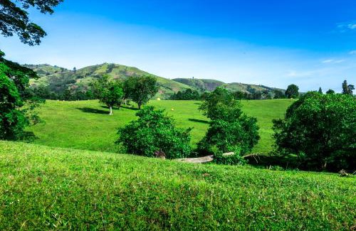 Kyesero Hotel | The Crested Crane Bwindi Hotel
