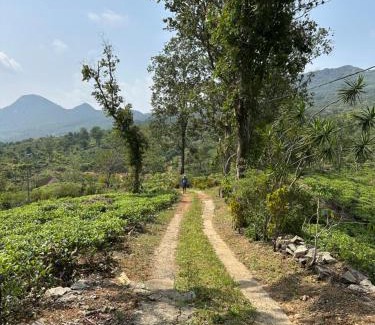 Dambulla House | The Dee's at sinharaja