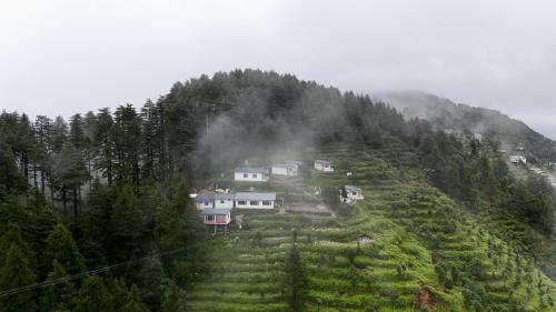 Kanatal Resort | The Deodar Stays