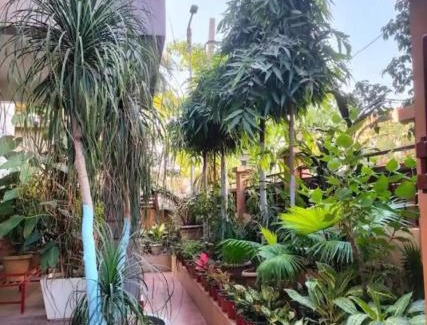 Hatigaon Apartment | The Divine Home Stay