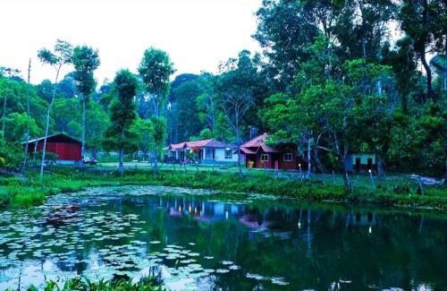 Madikeri House | THE DOCkSIDE INN