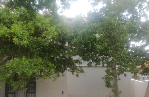 Polokwane Ski Chalet | The Doubleday