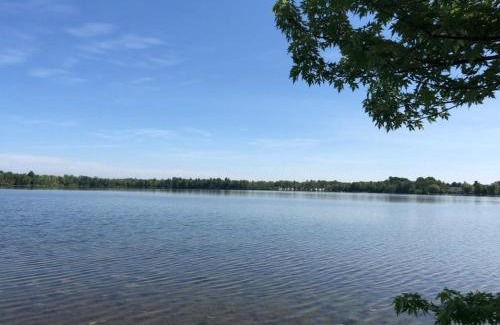 Elk Rapids House | The Dragonfly