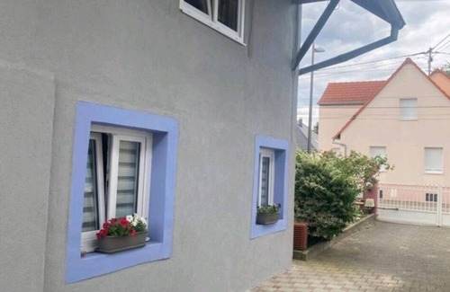 Drusenheim House | The dream catcher