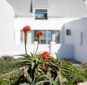Yzerfontein Villa | The Duinhuis Yzerfontein