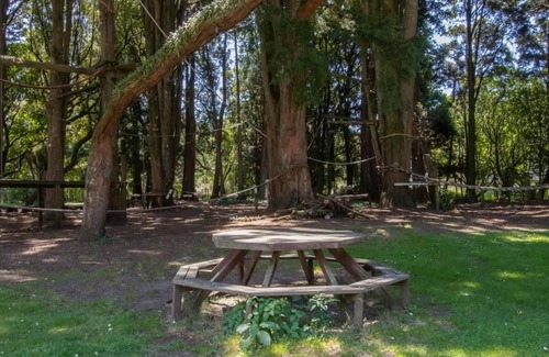 Burgess Park Cabin | The Eco Lodge - TSB Topec outdoor pursuits centre