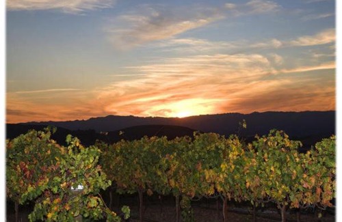 Templeton Hotel | The Eden House Vineyard