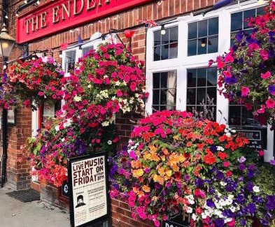 Whitby Hotel | The Endeavour