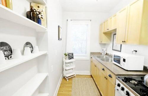Lower Greenville Apartment | The Explorer's Hearth Lower-Greenville Ave Area