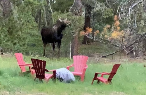 Black Hawk Cabin | The Fabulous BlackHawk Log CabinnFamily and Pet - friendly