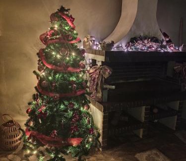 Trikala Apartment | The family's house