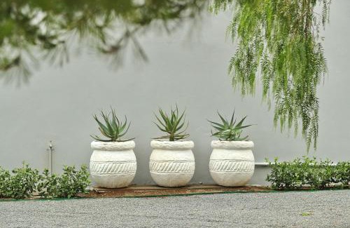 Colesberg Apartment | The Fancy Cactus