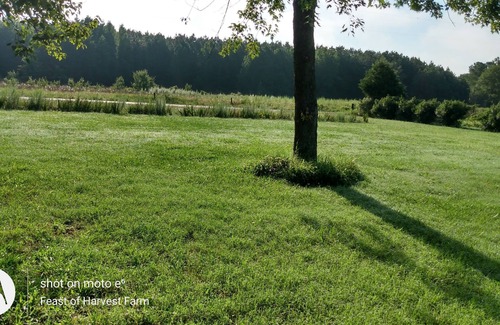 Dewitt House | The Farmhouse