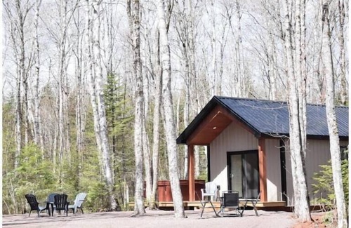 Albany Cabin | The Fauna Cozy Cabin