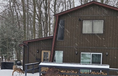 Tobyhanna Ski Chalet | The Fire & Fun Retreat