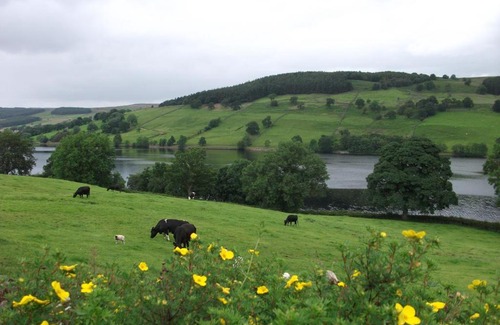 Summerbridge Bed & Breakfast | THE FIRS B&B &TEA ROOM
