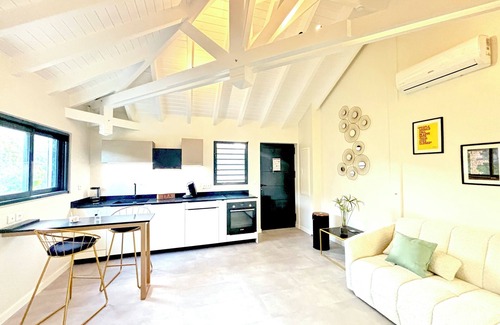 Anse Marcel Apartment | The Forest
