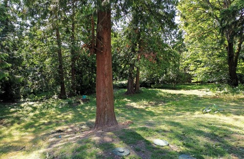 Issaquah Apartment | The Forest Rooms - A Peaceful Oasis close to everything