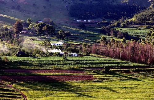 Mhlambanyatsi Hotel | The Foresters Arms