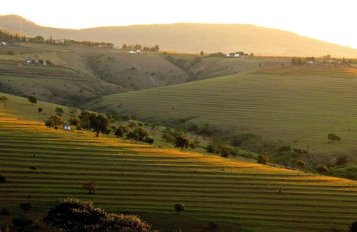 Mhlambanyatsi Hotel | The Foresters Arms