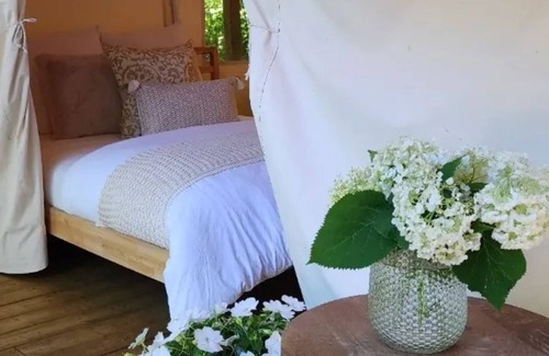 Tsawwassen Cabin | The Fox Den