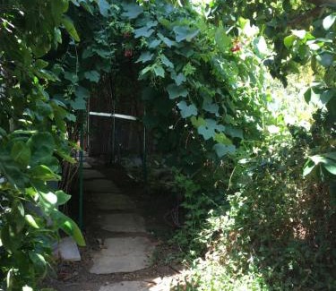 Kfar Yona House | The fruit garden guesthouse