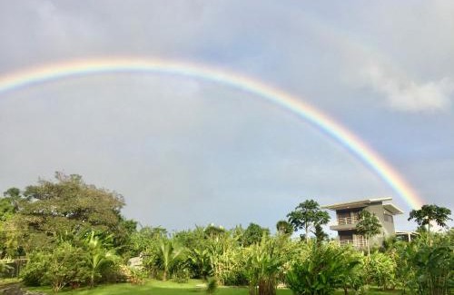 Arenal Apartment | The Fruit Tree Garden Bromeliad Suite
