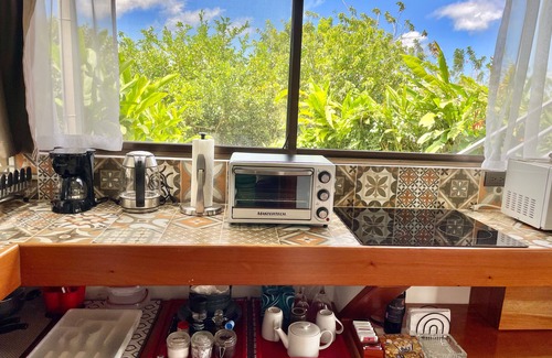 Arenal Other | The Fruit Tree Garden Bromeliad Suite